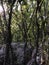 Mountain landscape, trees, grass, rocks in Crimea