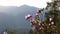 Mountain landscape view. Blooming bushes with pink flowers on the mountain slopes