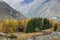 Mountain landscape view in Kyrgyzstan. Rocks, yellow and green trees in mountain valley view. Fall mountain panorama.