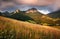 Mountain landscape with wild flowers meadow - Long exposure