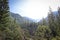 Mountain landscape, wild taiga and grasshoppers.