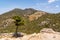 Mountain landscape and wild vegetation,Greece