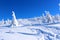 Mountain landscape in winter.