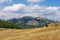 Mountain landscape with yellow pastures and green triangular patterns of forest. Balkans. Montenegro, Krnovo