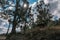 Mountain landscapes. A log cabin in the woods, surrounded by trees on the hill