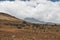 The mountain landscapes of Mount Kilimanjaro