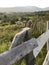 Mountain landscapes of Transcarpathia. Visible hills covered with forest, grass