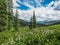 Mountain LandscapeWith Fitweed Flowere And Cloudy Sky