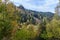 A mountain landslide in the forest