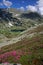 Mountain lanscape-Rhododendron, lake, snow patches