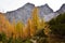 Mountain larch forest with rocky peaks behind