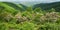 Mountain Laurel, Blue Ridge Mountains and Shenandoah Valley - 4