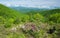 Mountain Laurel and Shenandoah Valley