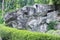 Mountain limestone rocks texture in forest