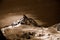 Mountain Lofer Austria Sepia