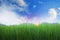 Mountain meadow background and bright sky in spring. Empty space for text