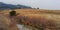 Mountain Meadow with Creek Running Through It