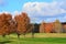 The mountain meadow is full of bright fall color in the trees and bushes