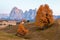 Mountain meadow and house Alpe di Siusi or Seiser Alm in the background Langkofel mountain range at sunset with Province of