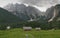 Mountain meadow in Pisnica valley in Julian Alps