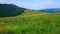 Mountain meadow Polonyna Khomyak and Mount Synyak, Carpathians, Ukraine