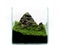 Mountain in miniature in aquarium, with plants