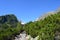 Mountain nature green wood clouds