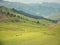 Mountain nature landscape with grassy green meadows and grazing cattle and horses