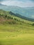 Mountain nature landscape with grassy green meadows and grazing cattle and horses