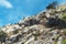 Mountain near the fortress Stari Grad in Croatia.