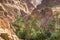 Mountain oasis Chebika at border of Sahara, Tunisia, Africa