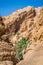 Mountain oasis Chebika at border of Sahara, Tunisia, Africa