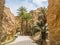 Mountain oasis Chebika in Sahara desert, Tunisia