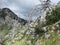 Mountain Orjen Montenegro rocky landscape and drained tree trunk struck by lightning