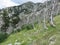 Mountain Orjen Montenegro rocky landscape and drained tree trunk struck by lightning