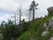 Mountain Orjen Montenegro rocky landscape and drained tree trunks struck by lightning