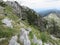 Mountain Orjen Montenegro rocky landscape and drained tree trunks struck by lightning