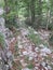 Mountain Orjen Montenegro ruined stone trail