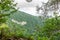 Mountain overgrown with thick green forest with residential buildings on one of the slopes