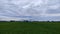 Mountain panorama ricefield green beautiful