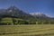 Mountain panorama at Wilder Kaiser with agricultural fields during summer, Austria