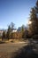 Mountain pasture with morning frost and desolate road