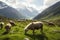 Mountain pasture Sheep peacefully graze on the lush green meadow