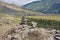 Mountain pastures and rocks, Altai mountains, Siberia Russia