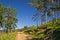 Mountain path below ropeway at Divcibare