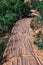 Mountain Path and Green Bushes in Zion, USA