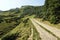 Mountain path leading to Gendarme and Bliznitsa Mountains