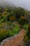 Mountain path. Misty landscape.