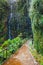 Mountain path to Levada das 25 fontes, Madeira Island, Portugal