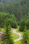 Mountain path way throw fir forest in Romanian Carpatians